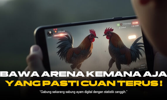 Sabung Ayam Modern: Mengenal Provider, ODS, dan Jenis Ayam Terpopuler
