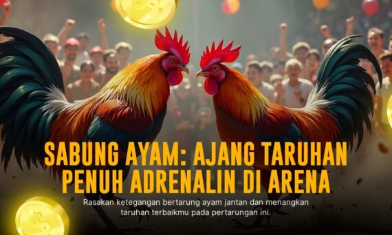 SV388: Platform Terbaik Sabung Ayam Online dengan Odds Menguntungkan