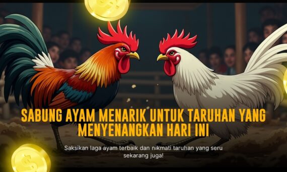 Mengenal Provider Sabung Ayam SV388: Game Adu Ayam Modern